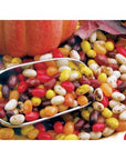 Jelly Belly Autumn Mix: 10LB Case - Candy Warehouse