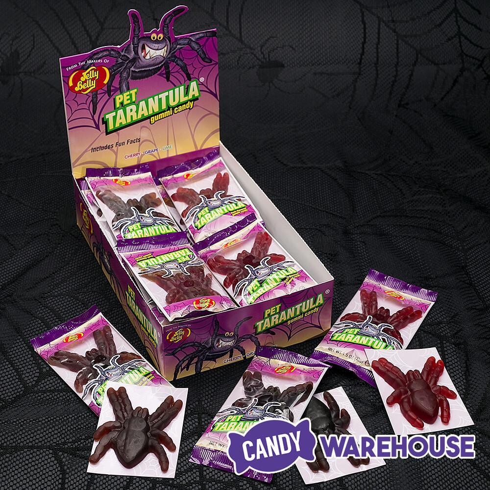 Jelly Belly Big Gummy Tarantula Spiders Candy Packs: 24-Piece Box - Candy Warehouse