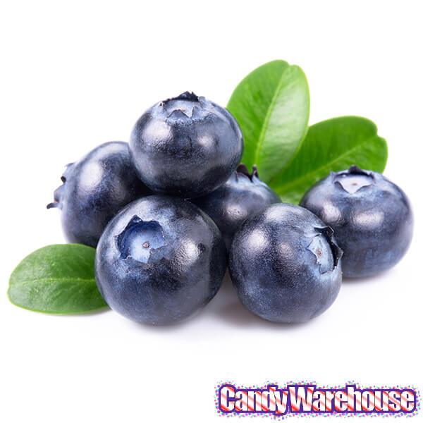 Jelly Belly Blueberry: 2LB Bag - Candy Warehouse