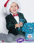 Jelly Belly Candy Canes - Blueberry: 80-Piece Bucket - Candy Warehouse