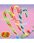 Jelly Belly Candy Canes - Very Cherry, Blueberry, & Watermelon: 12-Piece Box - Candy Warehouse