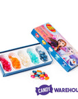 Jelly Belly Disney Frozen 2 Jelly Beans 4.25-Ounce Packs: 12 Piece Box - Candy Warehouse