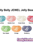 Jelly Belly Disney Princess Jelly Beans 1-Ounce Candy Packs: 24-Piece Box - Candy Warehouse