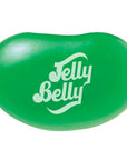 Jelly Belly Green Apple: 10LB Case