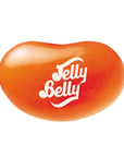 Jelly Belly Orange Crush: 10LB Case - Candy Warehouse