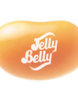 Jelly Belly Orange Sherbet Jelly Beans: 10LB Case