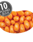 Jelly Belly Pumpkin Pie Jelly Beans: 10LB Case - Candy Warehouse