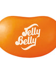 Jelly Belly Pumpkin Pie Jelly Beans: 10LB Case - Candy Warehouse