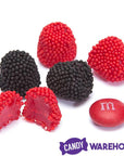 Jelly Belly Raspberry & Blackberry Gumdrops Candy: 10LB Case