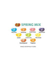 Jelly Belly Spring Mix: 10LB Case