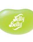 Jelly Belly Sunkist Lime: 10LB Case