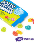 Jolly Rancher Sour Gummies 3.5-Ounce Box: 11-Piece Box