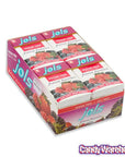 Jols Pastilles Sugar Free Candy Packs - Forest Berries: 12-Piece Box - Candy Warehouse