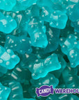 Jovy Blue Raspberry Gummy Bears: 5LB Bag