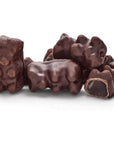 Koppers Dark Chocolate Covered Gummi Bears: 8LB Case