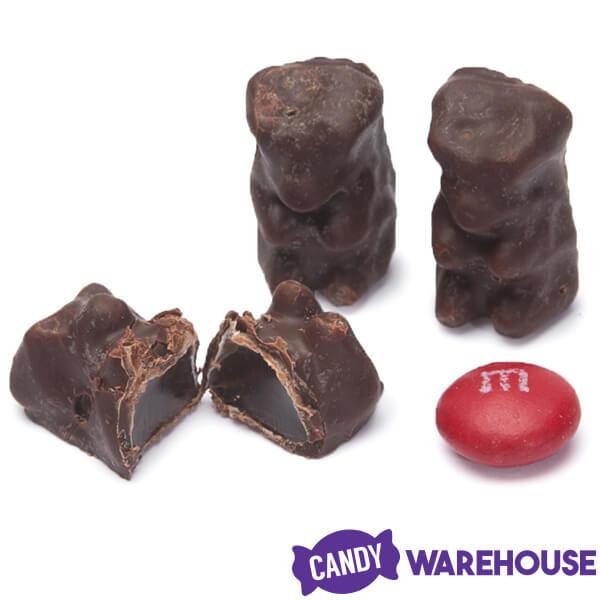 Koppers Dark Chocolate Covered Gummi Bears: 1LB Jar - Candy Warehouse