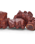 Koppers Milk Chocolate Covered Gummi Bears: 8-Pound Bag