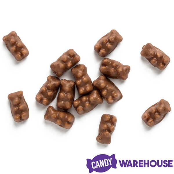 Koppers Milk Chocolate Covered Gummi Bears: 1LB Jar - Candy Warehouse