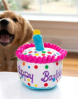 Lulubelle's Power Plush Happy Barkday Cake Dog Toy: Small