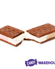 Luvy Duvy Neapolitan Freeze Dried Ice Cream Sandwich