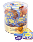 Madelaine Chanukah Gelt Gold Foiled Milk Chocolate Coins in Mesh Bags: 24-Piece Tub - Candy Warehouse