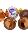 Madelaine Duets Peanut Butter & Caramel Filled Chocolate Truffles: 48-Piece Box - Candy Warehouse