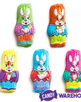 Madelaine Foiled Milk Chocolate Mini Bunnies Easter Candy: 5LB Bag