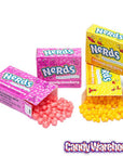 Mega Candy Super Tube Bank - Nerds - Candy Warehouse