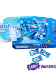 Mentos Mint Candy Single Packs: 125-Piece Bag - Candy Warehouse