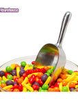 Metal 5-Ounce Candy Scoop - Candy Warehouse