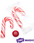 Mini Candy Canes - Red and White: 100-Piece Tub - Candy Warehouse