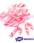 Mini Candy Canes - Red and White: 45-Piece Jar - Candy Warehouse