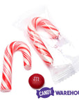 Mini Candy Canes - Red and White: 45-Piece Jar - Candy Warehouse