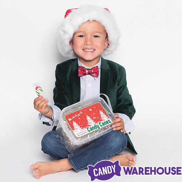 Mini Candy Canes - Red, Green, and White: 100-Piece Tub - Candy Warehouse