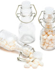 Mini Glass Favor Jars - 2-Ounce Bottle with Swing Top: 12-Piece Set - Candy Warehouse