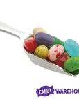 Mini Plastic Candy Scoop - Candy Warehouse