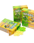 Nerds Candy 2-Flavor Packs - Lime and Pineapple: 24-Piece Box