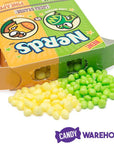 Nerds Candy 2-Flavor Packs - Lime and Pineapple: 24-Piece Box