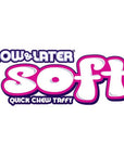 Now and Later Extreme Sour Soft Fruit Chews Candy: 10-Ounce Bag - Candy Warehouse