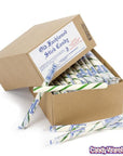 Old Fashioned Hard Candy Sticks - Wintergreen: 80-Piece Box