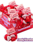 Palmer Valentine Chocolate Hearts in Mesh Bags: 18-Piece Box - Candy Warehouse