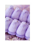 Peeps Marshmallow Chicks Candy - Lavender: 5-Piece Pack - Candy Warehouse