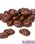 Raisinets Milk Chocolate Raisins Candy 3.1-Ounce Packs: 15-Piece Box - Candy Warehouse