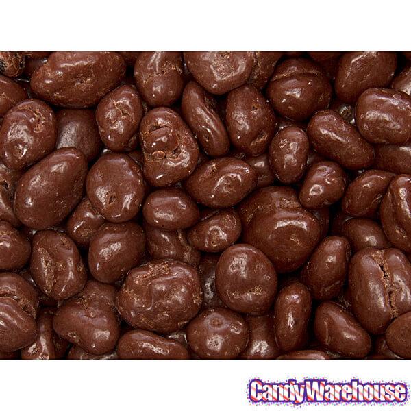 Raisinets Milk Chocolate Raisins Candy: 36-Ounce Bag - Candy Warehouse