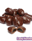 Raisinets Milk Chocolate Raisins Candy: 8-Ounce Bag - Candy Warehouse