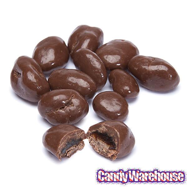 Raisinets Milk Chocolate Raisins Candy Fun Size Packs: 15-Piece Bag - Candy Warehouse