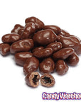 Raisinets Milk Chocolate Raisins Candy Packs: 36-Piece Box - Candy Warehouse