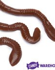 Realistic Gummy Earthworms Candy: 30-Piece Bag - Candy Warehouse