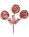 Red Lollipop Spray: 16 Inch - Candy Warehouse