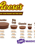 Reese's Dark Chocolate Peanut Butter Cups Miniatures: 10.2-Ounce Bag